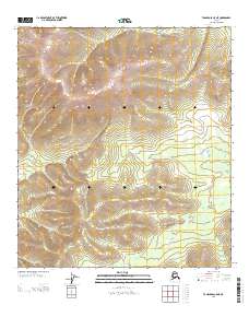 Tanacross C-5 NE, AK — USGS 7.5-minute topo (2013)