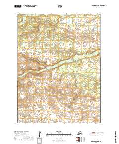 Dillingham C-5 NE, AK — USGS 7.5-minute topo (2019)