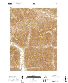 Wiseman D-1 NE, AK — USGS 7.5-minute topo (2017)