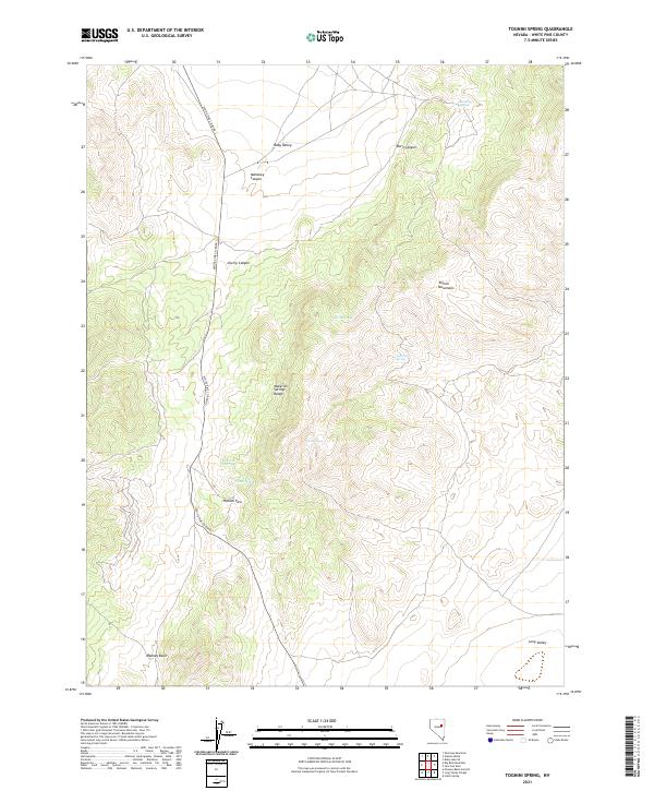 Tognini Spring, NV — USGS 7.5-minute topo (2021)