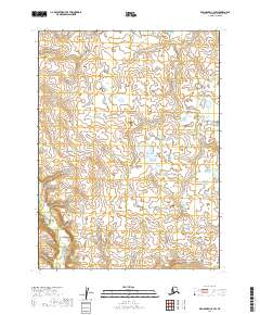 Dillingham C-4 SW, AK — USGS 7.5-minute topo (2019)