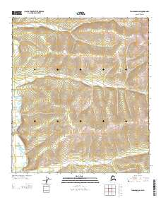 Tanacross D-2 SW, AK — USGS 7.5-minute topo (2013)