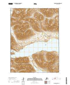 Dillingham D-8 SW, AK — USGS 7.5-minute topo (2019)