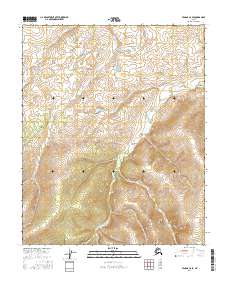 Tanana C-6 SE, AK — USGS 7.5-minute topo (2016)