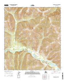 Tanacross B-1 NW, AK — USGS 7.5-minute topo (2015)