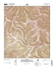 Tanacross D-1 NE, AK-YT — USGS 7.5-minute topo (2013)