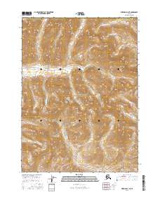 Wiseman D-3 NE, AK — USGS 7.5-minute topo (2016)