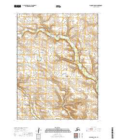 Dillingham C-5 SE, AK — USGS 7.5-minute topo (2019)