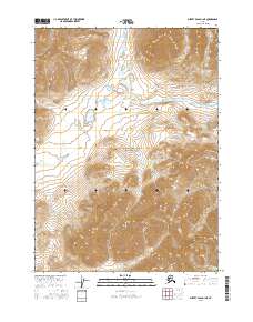 Survey Pass D-1 NE, AK — USGS 7.5-minute topo (2016)