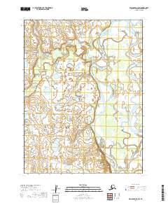 Dillingham A-5 SW, AK — USGS 7.5-minute topo (2019)