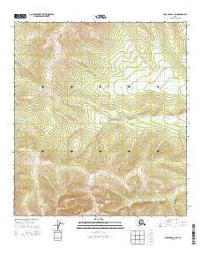 Tanacross C-1 SW, AK — USGS 7.5-minute topo (2015)