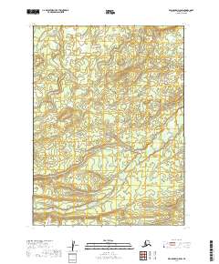 Dillingham D-5 SW, AK — USGS 7.5-minute topo (2019)