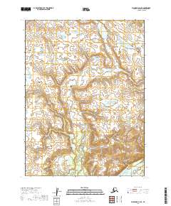 Dillingham C-4 SE, AK — USGS 7.5-minute topo (2019)
