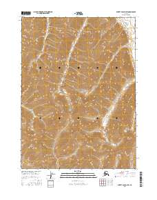 Survey Pass D-4 SW, AK — USGS 7.5-minute topo (2016)