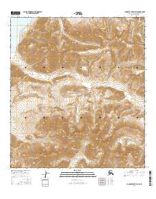Chandler Lake A-5 NE, AK — USGS 7.5-minute topo (2016)